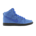Nike Dunk High Pro Sb