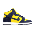 Nike Dunk High Pro SB - Michigan