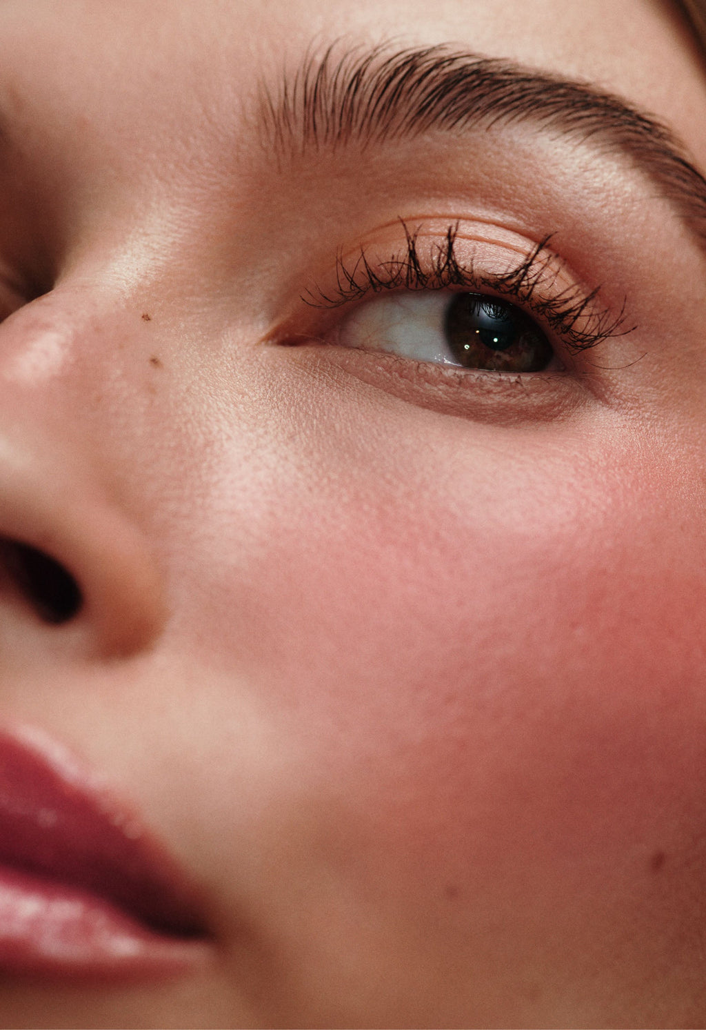 Rhode Pocket Blush - Freckle - 3