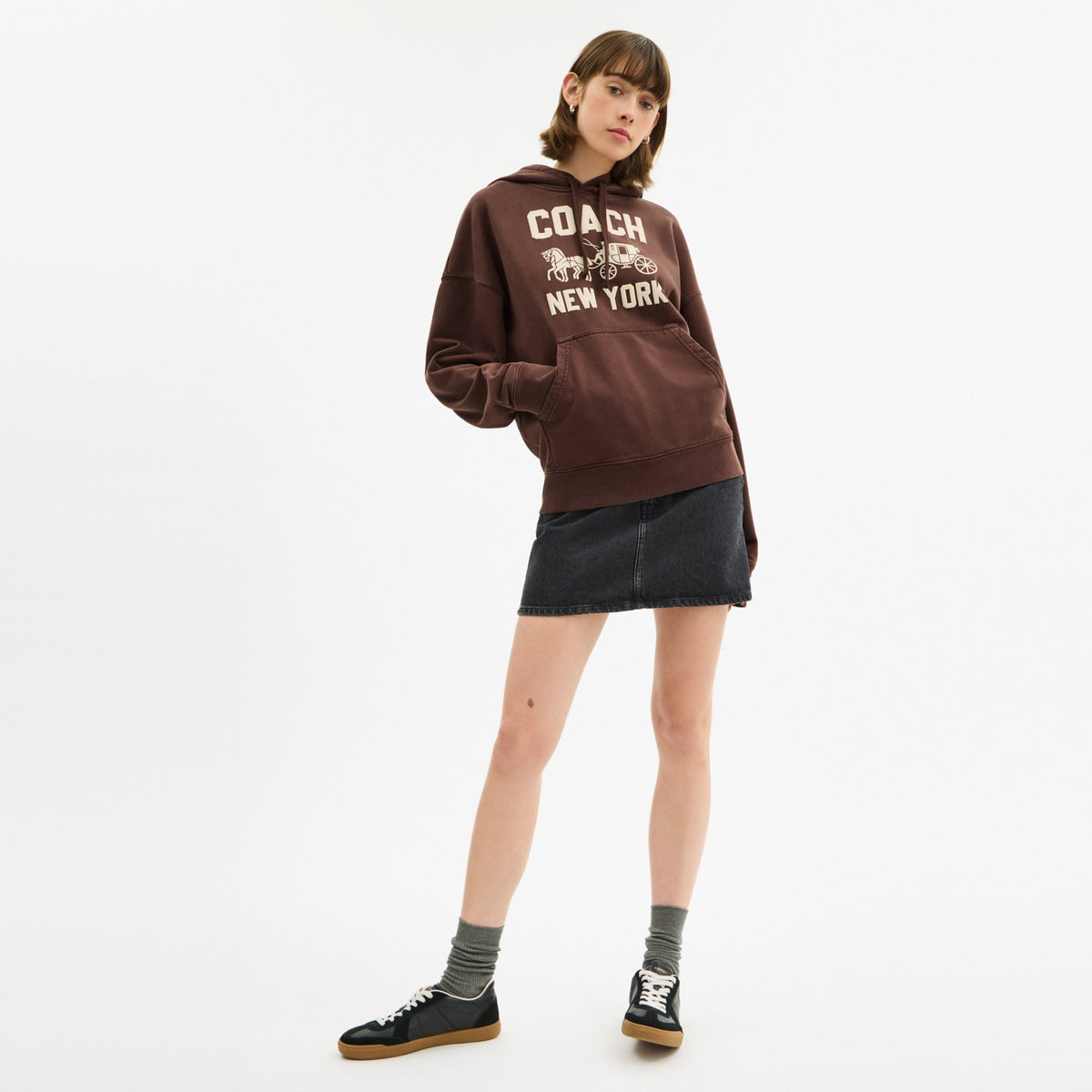 Coach Horse And Carriage Hoodie - Brown (Men's)