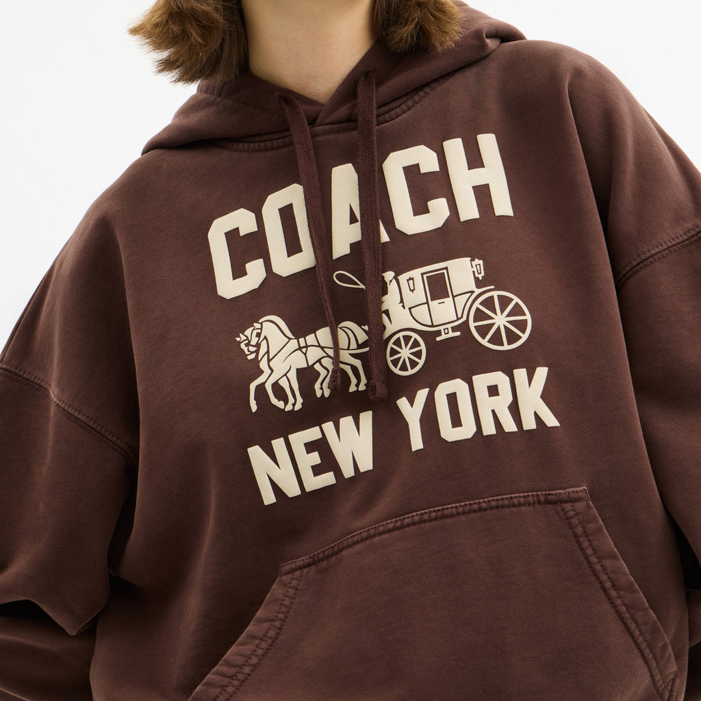 Coach Horse And Carriage Hoodie - Brown (Men's)