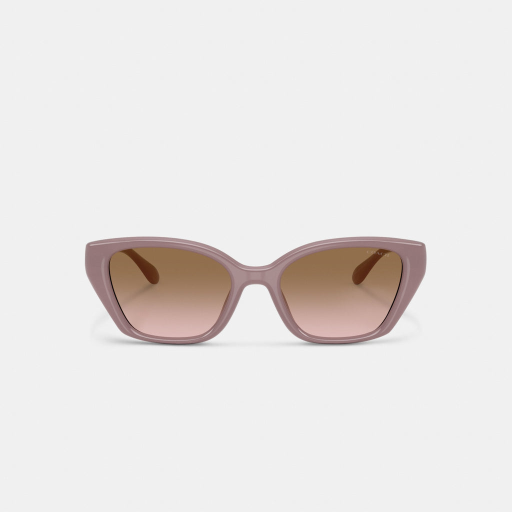 Coach C Hardware Square Cat Eye Sunglasses - Putty (Women's)