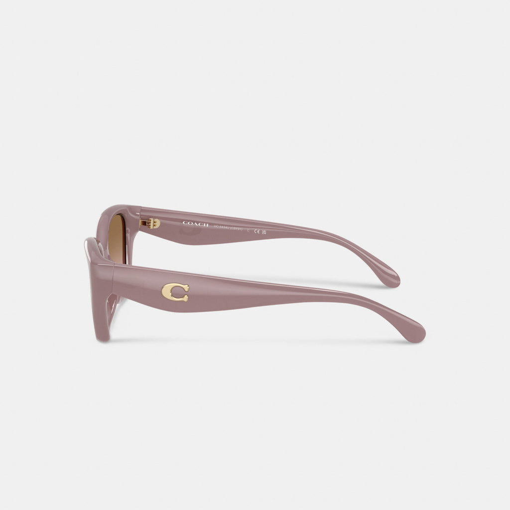 Coach C Hardware Square Cat Eye Sunglasses - Putty (Women's)