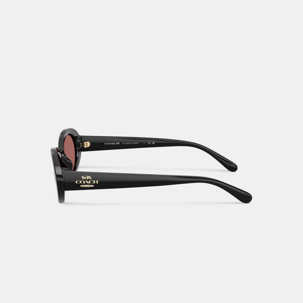 Coach Narrow Oval Sunglasses - Black W/ Pink (Women's)