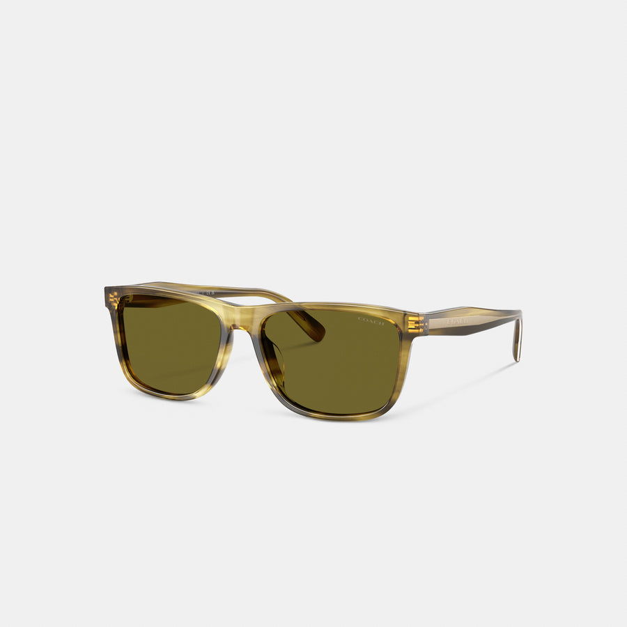 Coach Square Sunglasses - Olive Green (Men's)