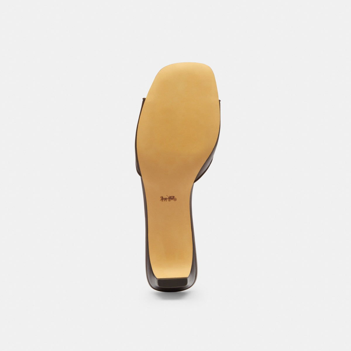 Coach Bow Kitten Heel Sandal - Maple (Women's)
