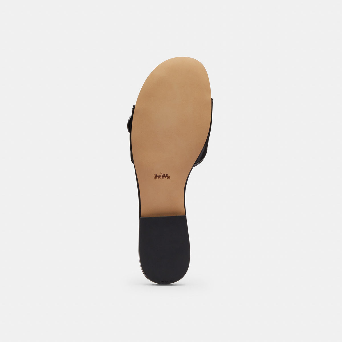 Coach Margot Flat Sandal - Black (5)
