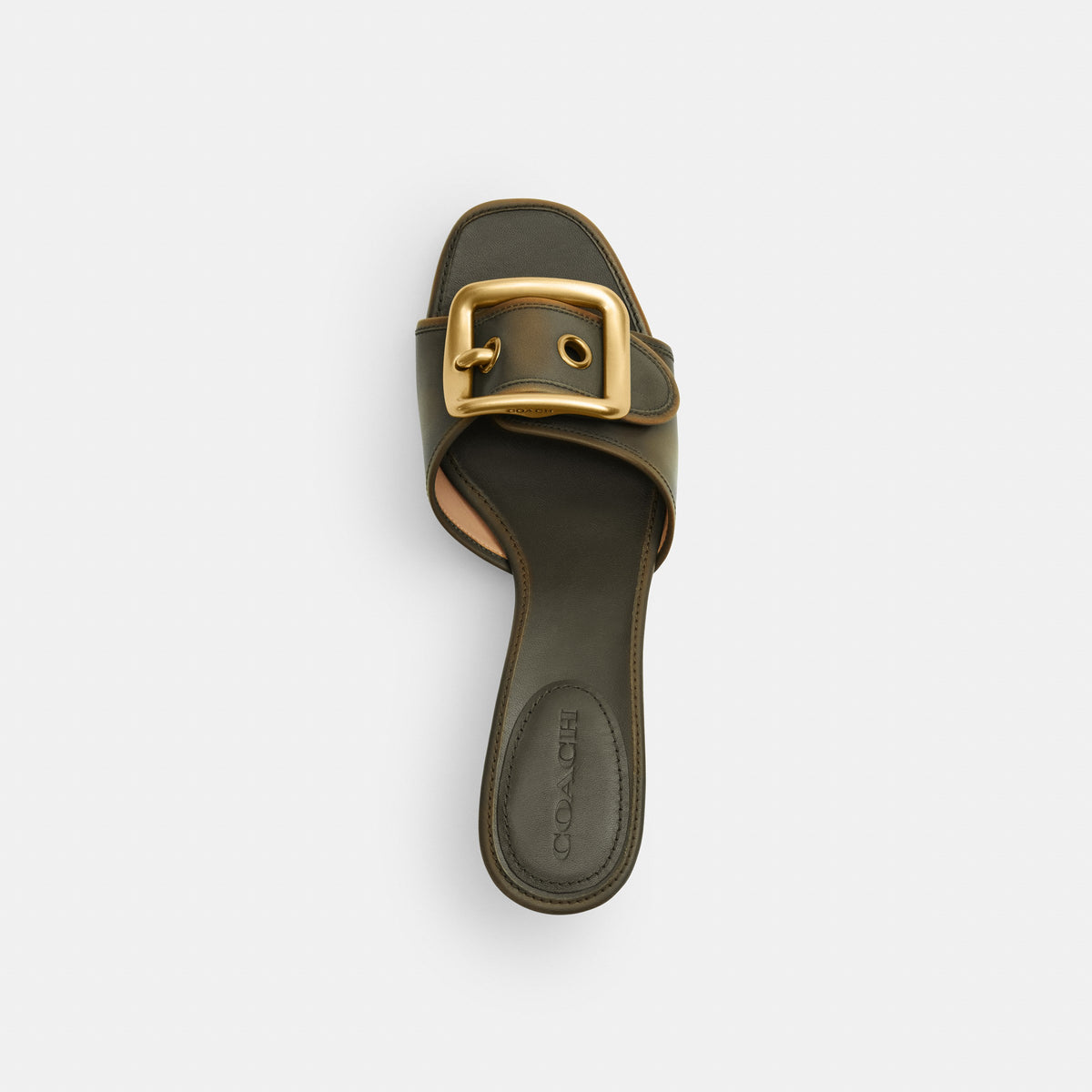 Coach Margot Sandal With Oversized Buckle In Loved Leather - Olive (3)