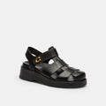 Coach Sculpted C Fisherman Sandal - Black