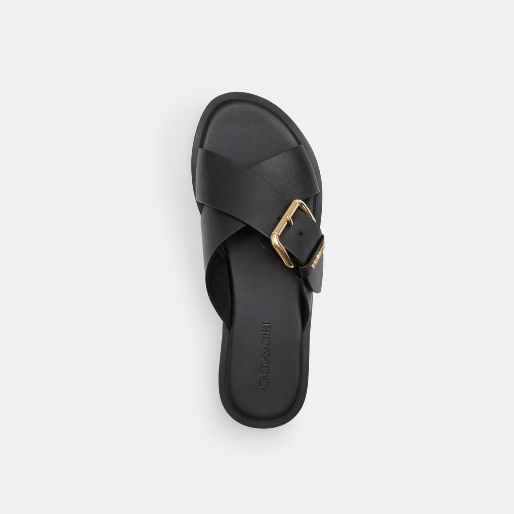 Coach Crisscross Buckle Sandal - Black (Women's)