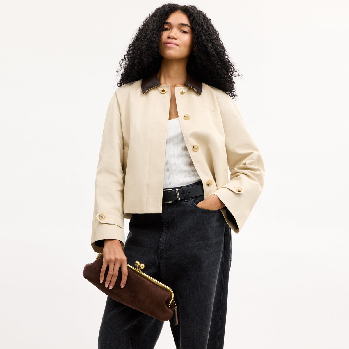 Coach Kisslock Frame Bag 30 - Brass/Dark Chocolate (8)