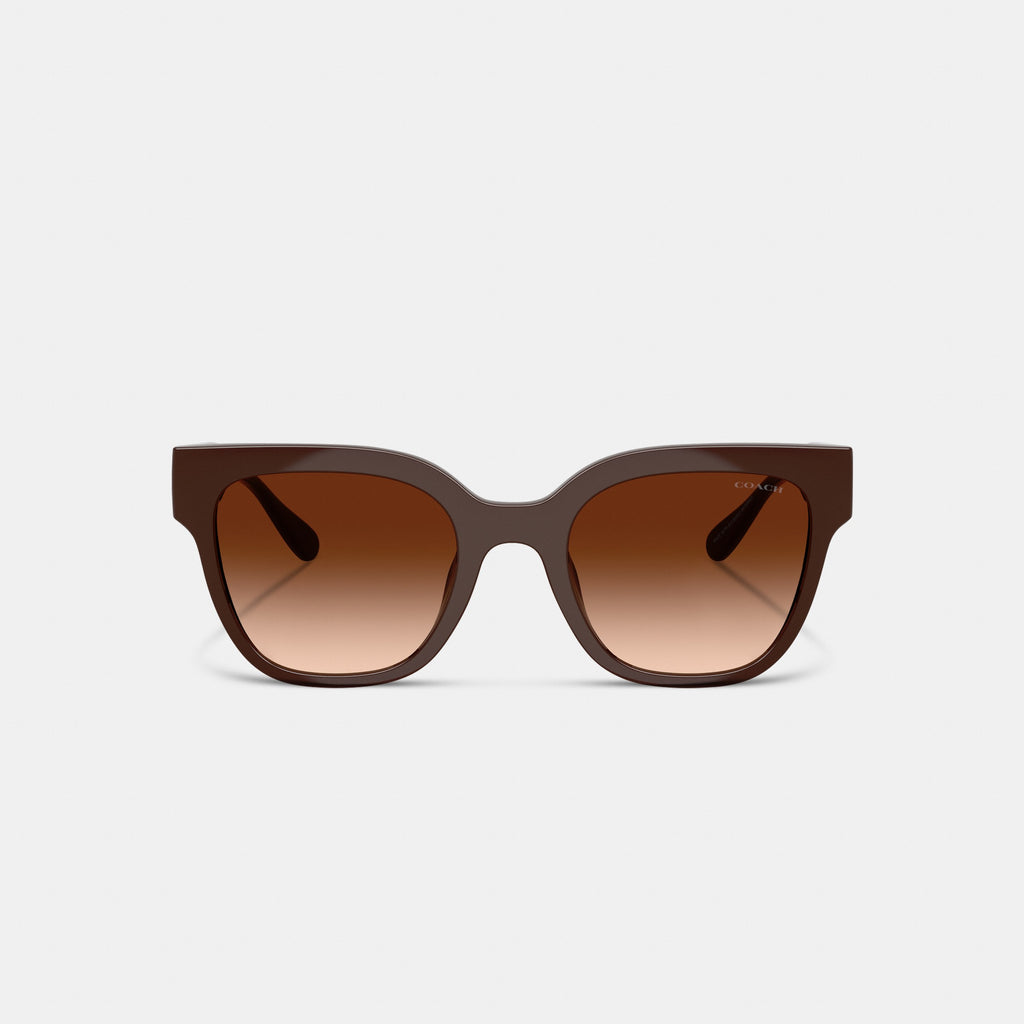 Coach Oversized Square Sunglasses - Pecan (2)