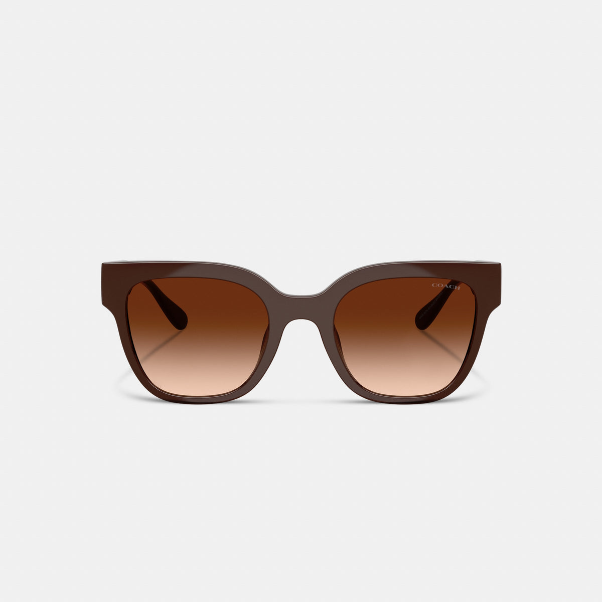 Coach Oversized Square Sunglasses - Pecan (2)