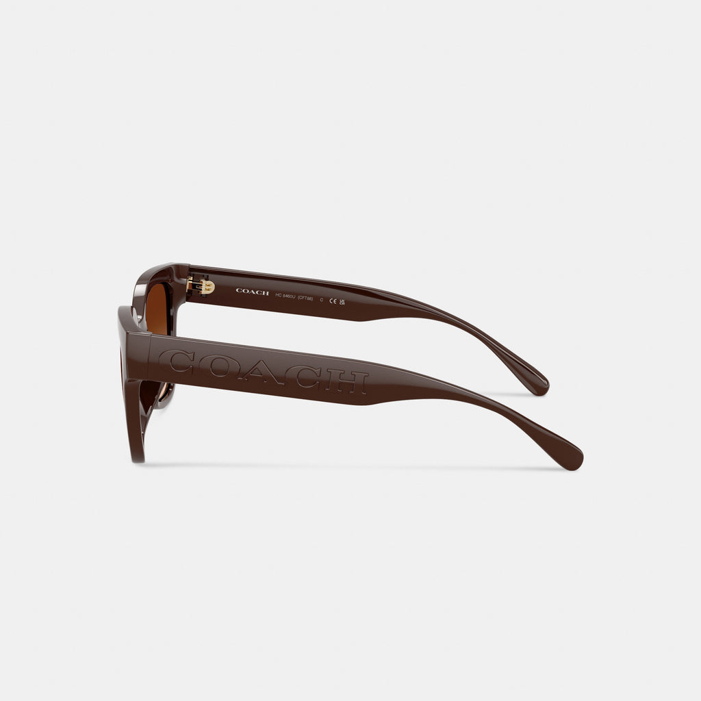 Coach Oversized Square Sunglasses - Pecan (3)