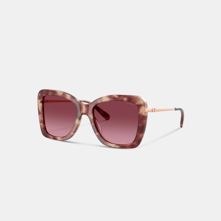 Coach C Hardware Oversized Butterfly Sunglasses - Purple Tortoise (Women's)