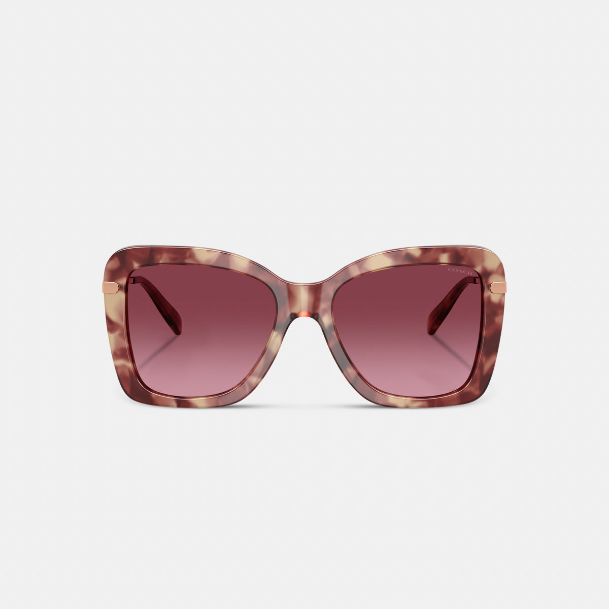 Coach C Hardware Oversized Butterfly Sunglasses - Purple Tortoise (2)