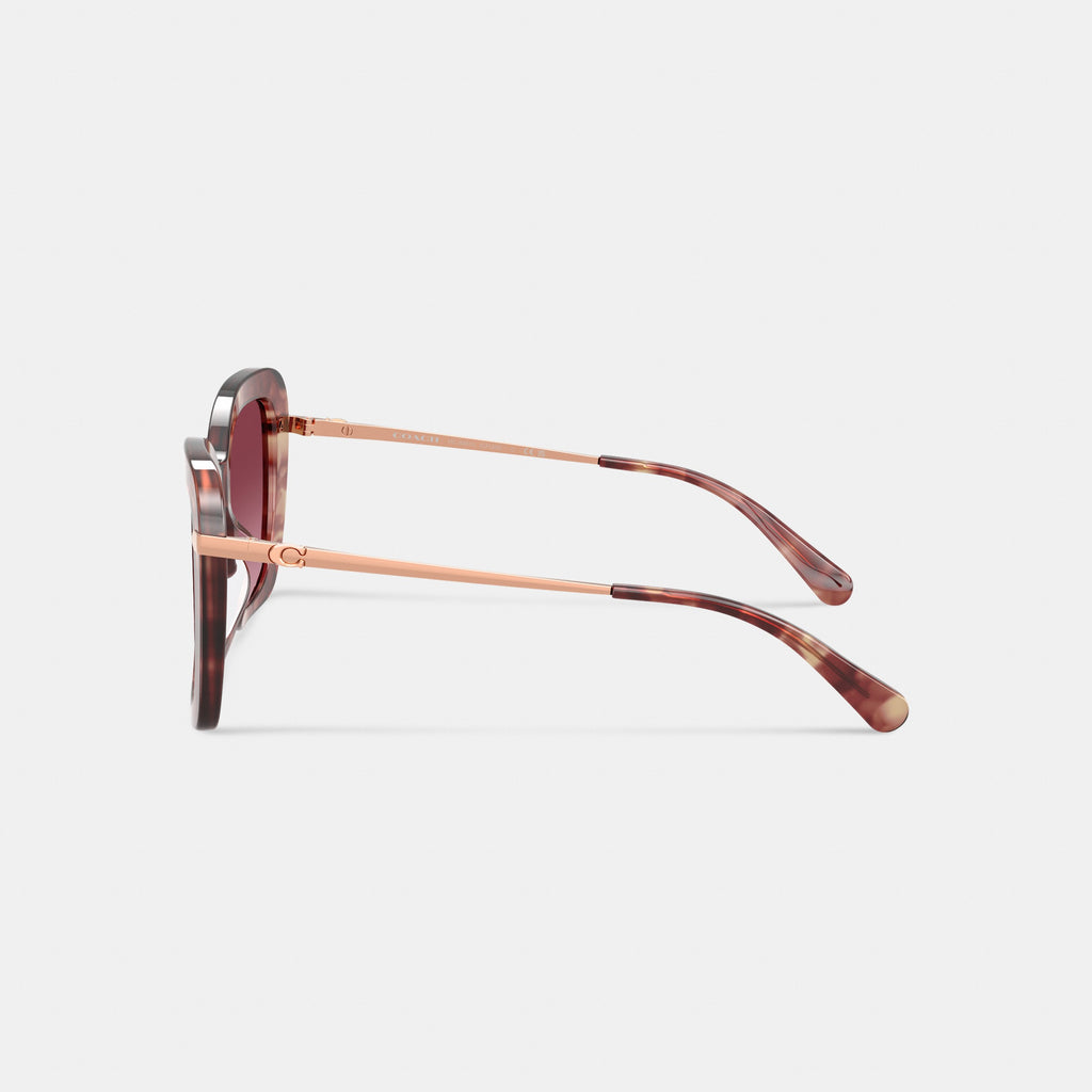 Coach C Hardware Oversized Butterfly Sunglasses - Purple Tortoise (3)