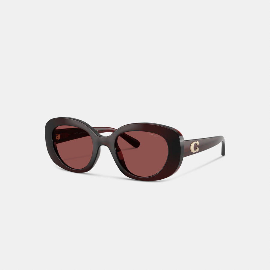 Coach Maxi Sculpted C Oversized Round Sunglasses - Transparent Garnet (Women's)