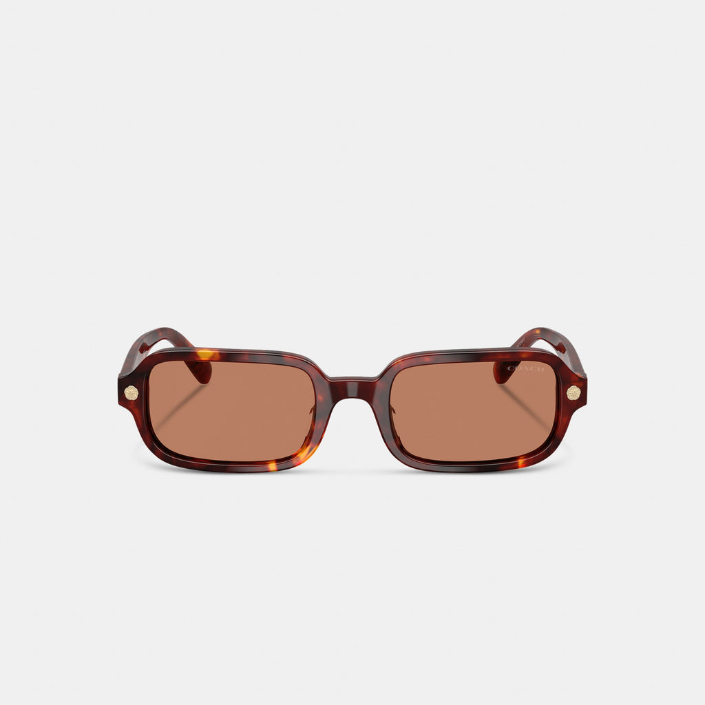 Coach Charms Narrow Rectangle Sunglasses - Walnut Tortise (2)