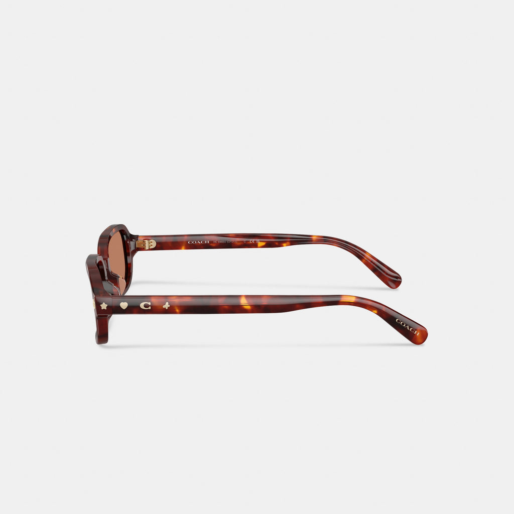 Coach Charms Narrow Rectangle Sunglasses - Walnut Tortise (3)