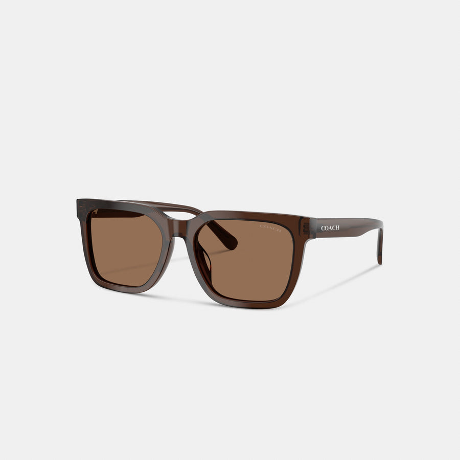 Coach Square Sunglasses - Transparent Brown (Women's)