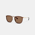 Coach Metal Square Sunglasses - Satin Light Gold / Brown