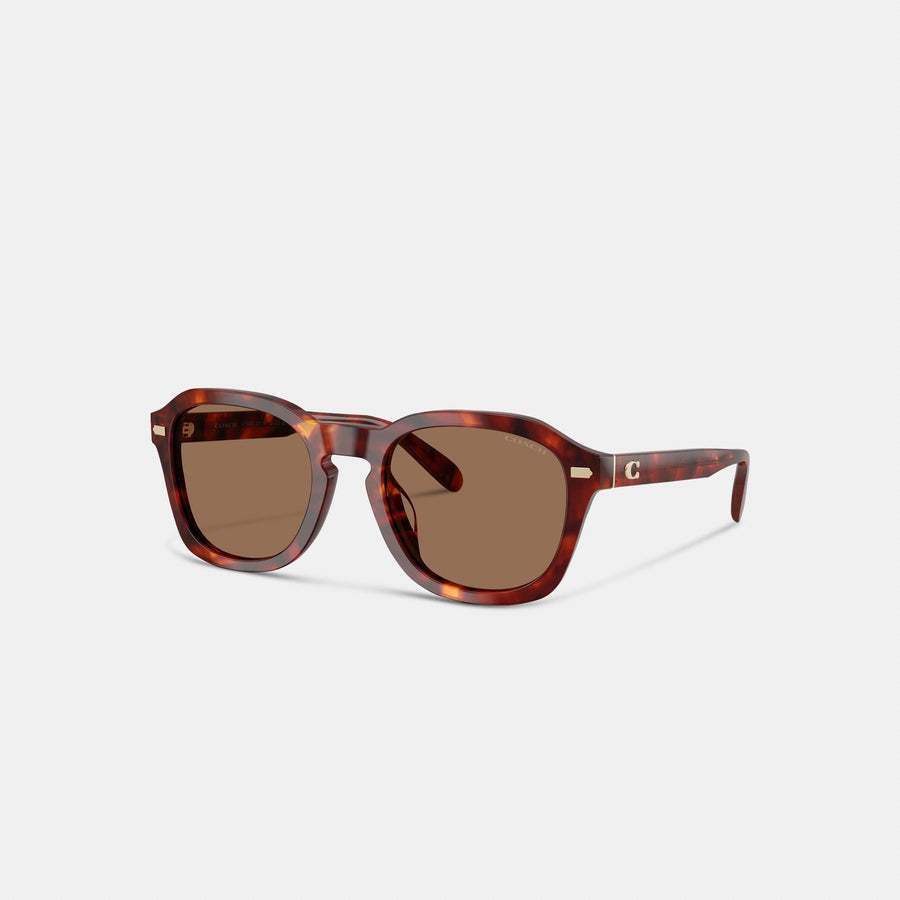 Coach C Hardware Round Sunglasses - Walnut Tortise (Women's)