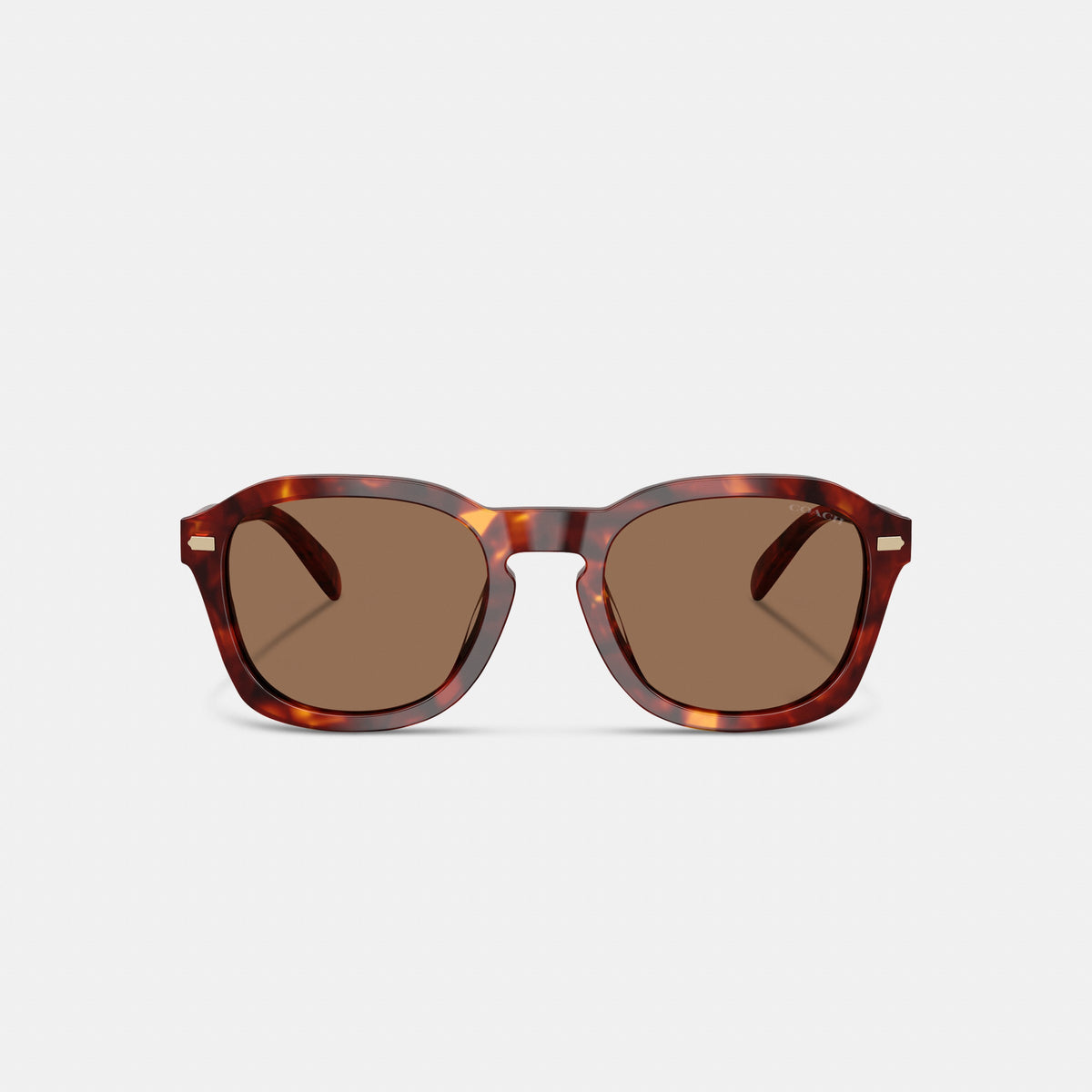 Coach C Hardware Round Sunglasses - Walnut Tortise (2)