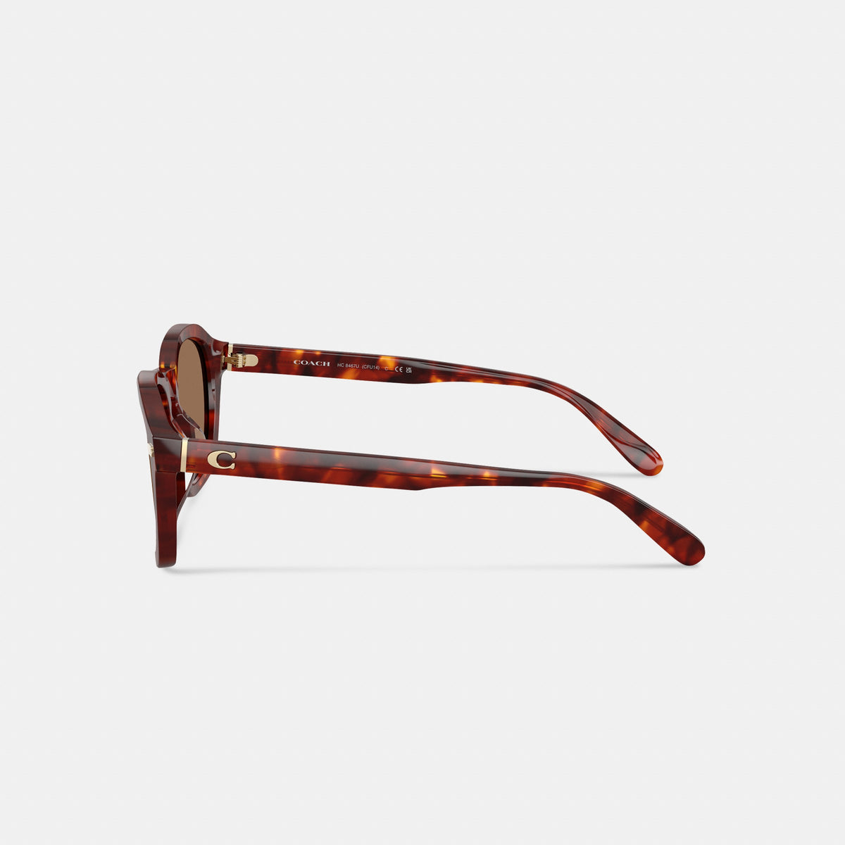 Coach C Hardware Round Sunglasses - Walnut Tortise (3)