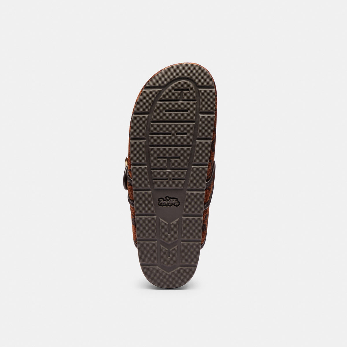 Coach Archival Buckle Clog In Signature Chenille - Truffle (Women's)