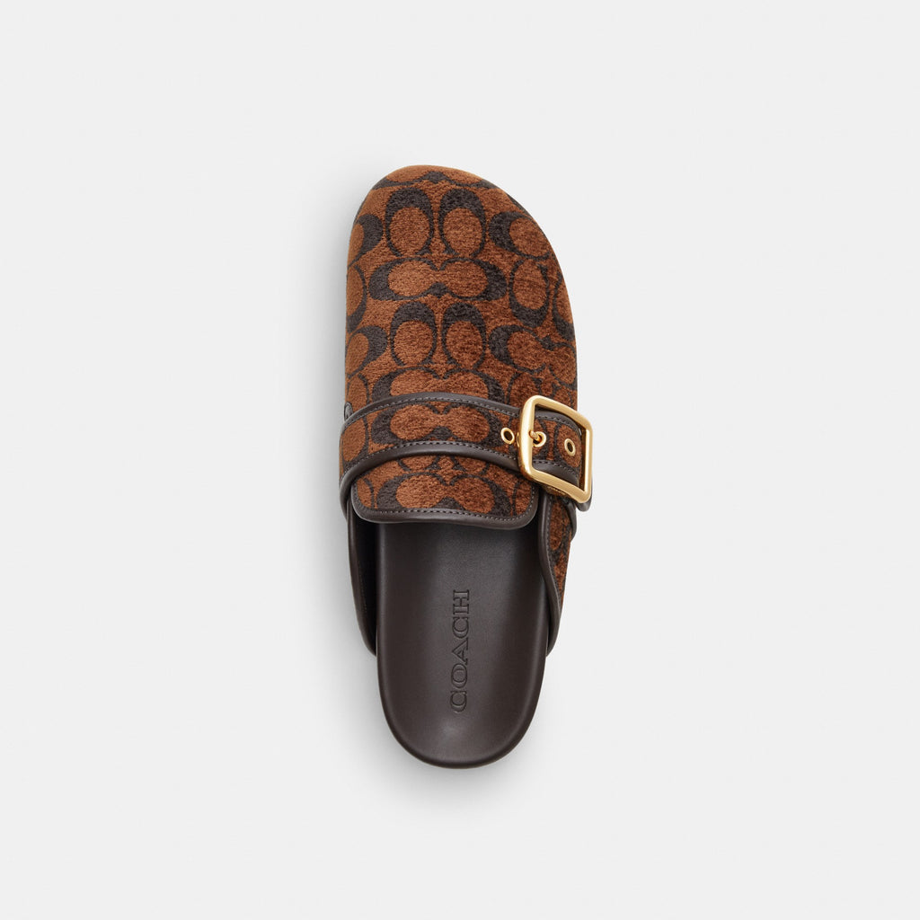 Coach Archival Buckle Clog In Signature Chenille - Truffle (Women's)