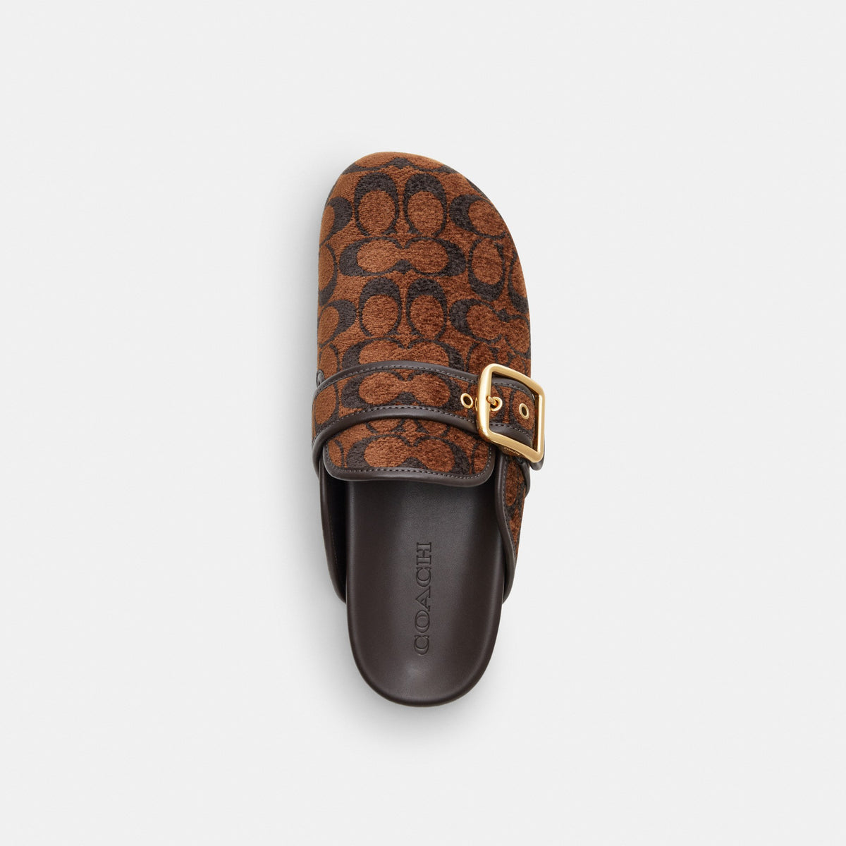 Coach Archival Buckle Clog In Signature Chenille - Truffle (Women's)
