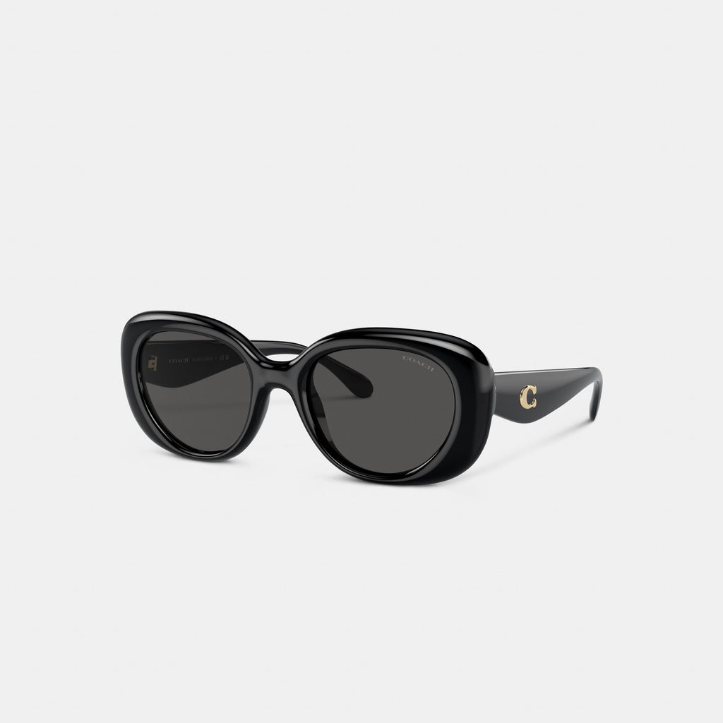 Coach C Hardware Round Sunglasses - Black