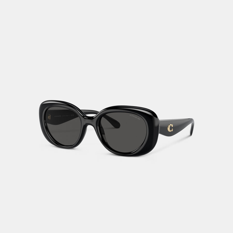 Coach C Hardware Round Sunglasses - Black (Women's)