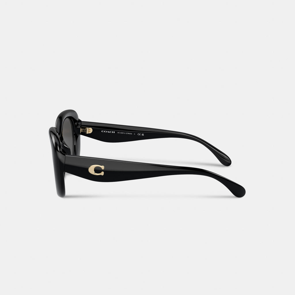 Coach C Hardware Round Sunglasses - Black (3)