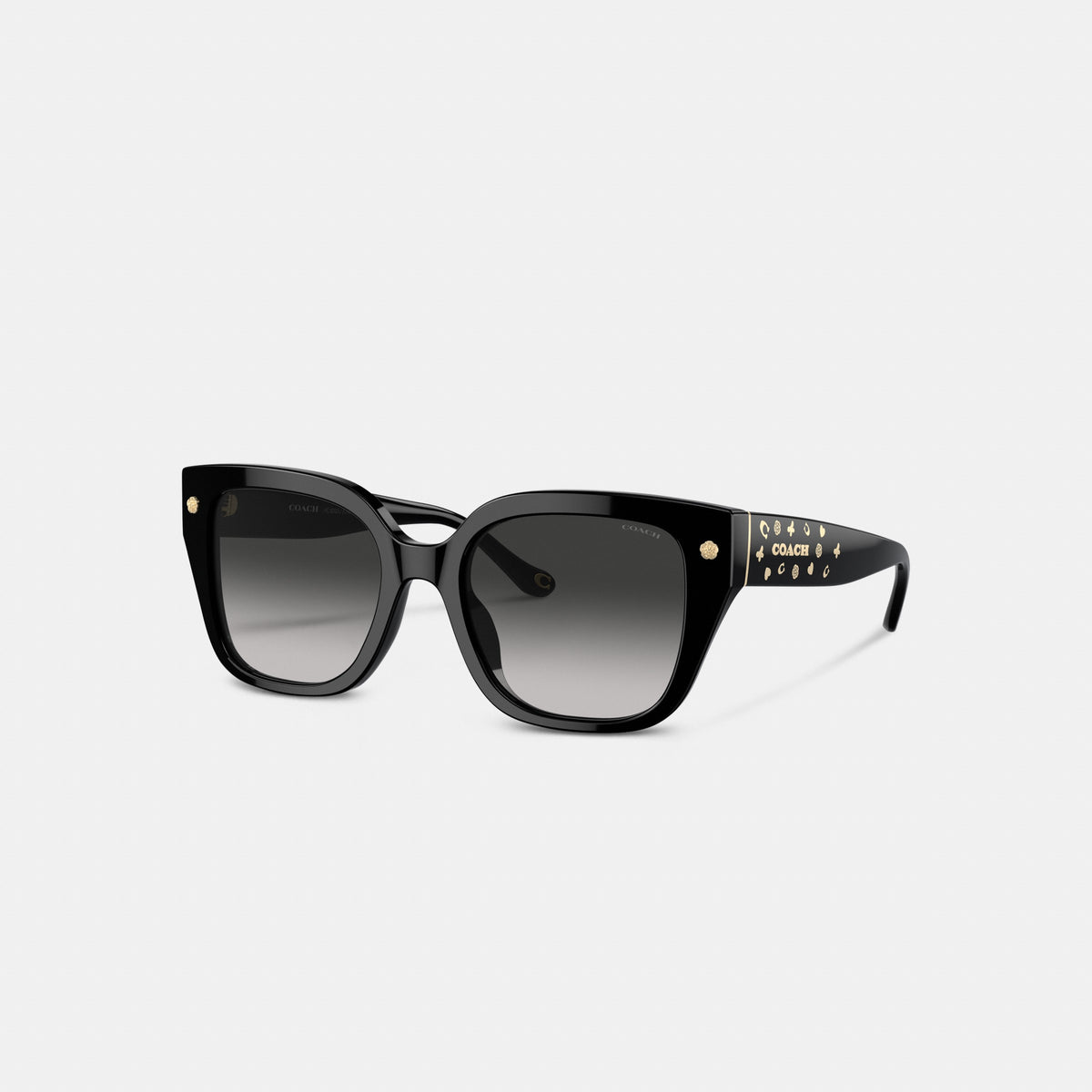 Coach Charms Oversized Square Sunglasses - Black