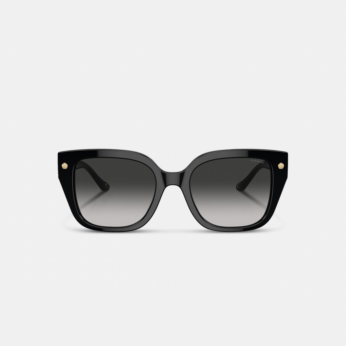 Coach Charms Oversized Square Sunglasses - Black (2)