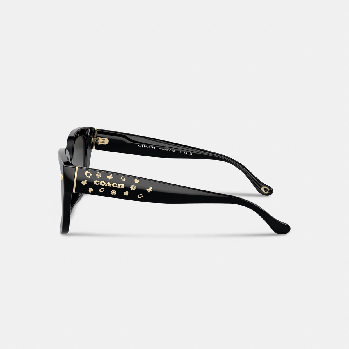 Coach Charms Oversized Square Sunglasses - Black (3)