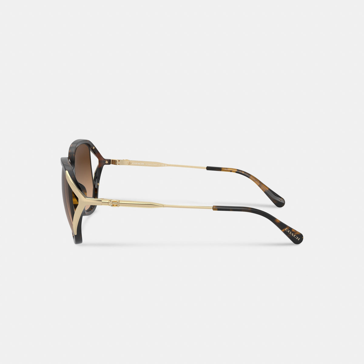 Coach Bandit Oversized Square Sunglasses - Dark Tortoise/Gold (3)