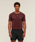 Gymshark Apex Seamless T-Shirt - Rich Maroon/Chestnut Pink